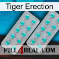 Tiger Erection 29